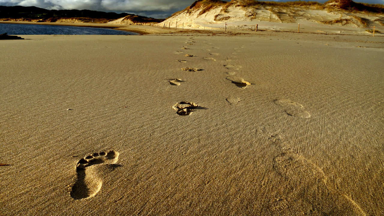 挿絵:砂の上の足跡